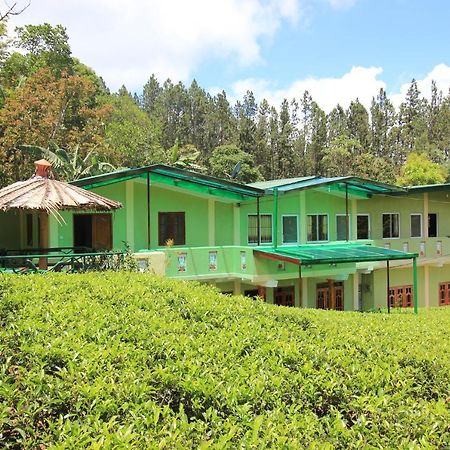 Narra Homestay Maskeliya Exteriör bild