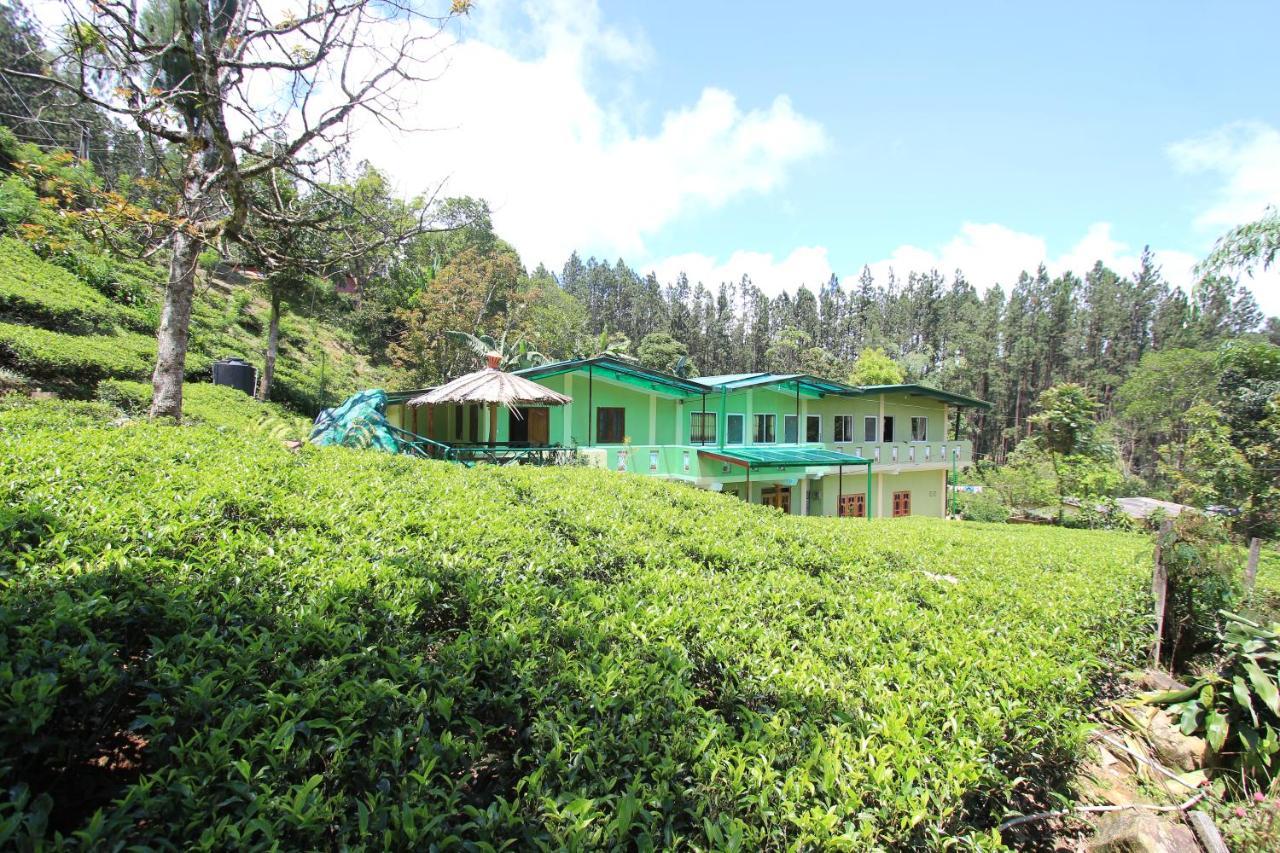 Narra Homestay Maskeliya Exteriör bild
